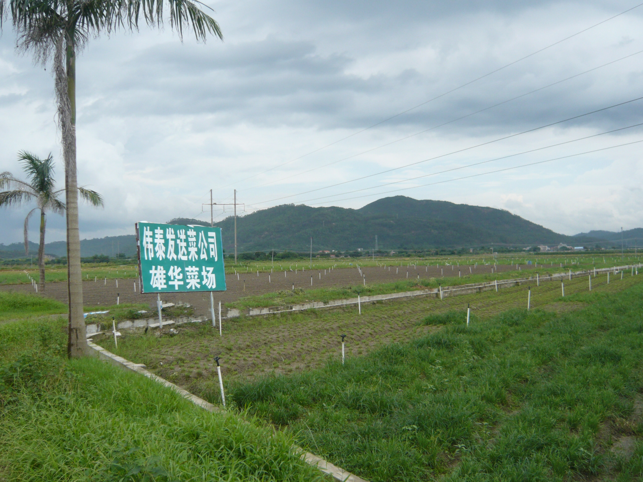蔬菜配送公司的貨源來(lái)自哪里？